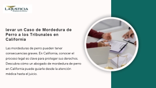Llevar un caso de mordedura de perro a los tribunales: el proceso legal explicad