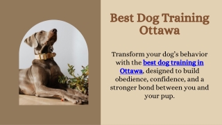 Best Dog Training Ottawa
