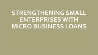 Strengthening Small Enterprises with Micro Business Loans