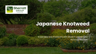 Erase Japanese Knotweed with Modern and Reliable Removal Methods