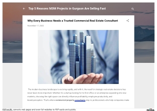 Why Every Business Needs a Trusted Commercial Real Estate Consultant