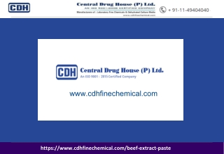 Beef Extract Paste Manufacturers