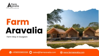 Best Farm Stay in Gurgaon - Farm Aravalia