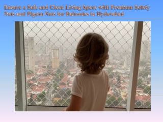 Ensure a Safe and Clean Living Space with Premium Safety Nets and Pigeon Nets for Balconies in Hyderabad