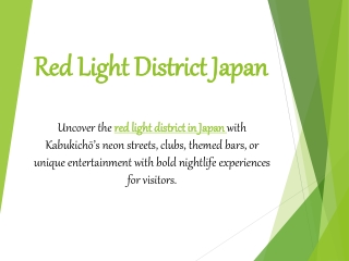 Red Light District Japan