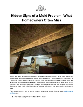 Hidden Signs of a Mold Problem - What Homeowners Often Miss