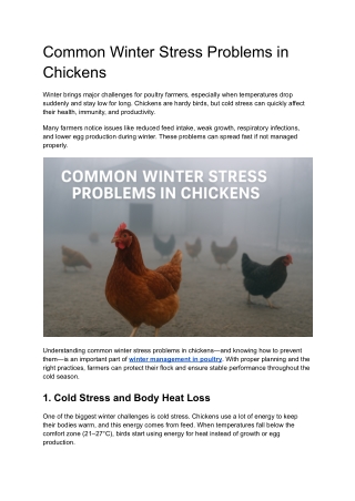 Common Winter Stress Problems in Chickens: What Every Poultry Farmer Must Know