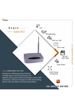 GSM FCT Aegis - A GSM Based Voice Terminal