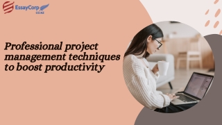 Professional project management techniques to boost productivity