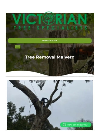 Tree Removal Malvern