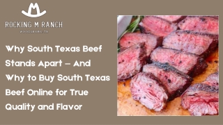 Why South Texas Beef Stands Apart — And Why to Buy South Texas Beef Online for True Quality and Flavor