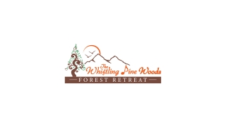 The Whistling Pine Woods – Where Nature Whispers & Memories Echo