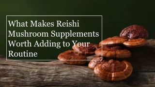 What Makes Reishi Mushroom Supplements Worth Adding to Your Routine