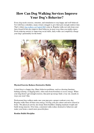How Can Dog Walking Services Improve Your Dog’s Behavior
