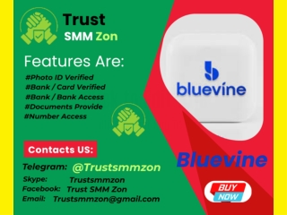 Buy Verified Bluevine Business Accounts