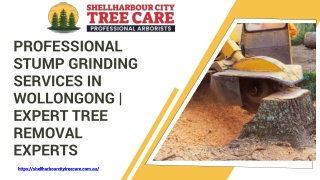 Professional Stump Grinding Services in Wollongong  Expert Tree Removal Experts
