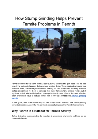 How Stump Grinding Helps Prevent Termite Problems in Penrith (1)
