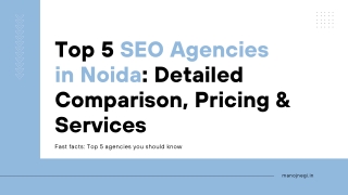 Top 5 SEO Agencies in Noida Detailed Comparison, Pricing & Services