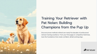 Training Your Retriever with Pat Nolan – Building Better Skills Step by Step