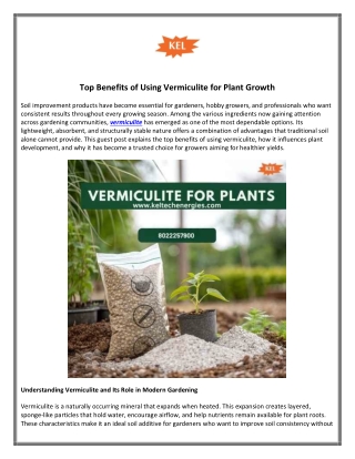 Top Benefits of Using Vermiculite for Plant Growth