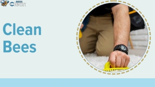 Why Clean Bees Is the Leading Cleaning Company in New Zealand