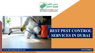 BEST PEST CONTROL SERVICES IN DUBAI