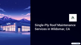 Single-Ply Roof Maintenance Services in Wildomar, CA