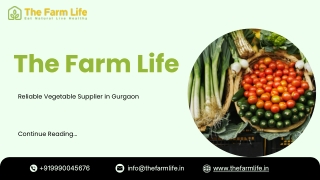 Reliable Vegetable Supplier in Gurgaon