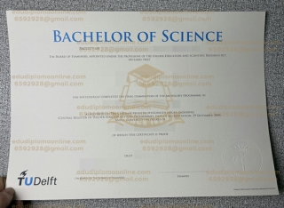 What's the price of ordering a fake TU Delft diploma online?