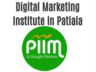 Digital Marketing Institute in Patiala