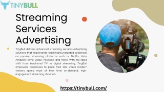 TinyBull Streaming Services Advertising for High-Impact Brand Visibility