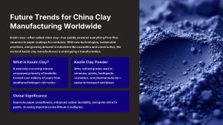 Future Trends in Kaolin China Clay Manufacturing | Global Market Insights