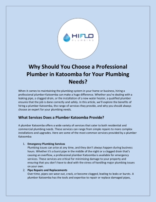 Why Should You Choose a Professional Plumber in Katoomba for Your Plumbing Needs