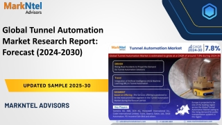 Global Tunnel Automation Market Research Report