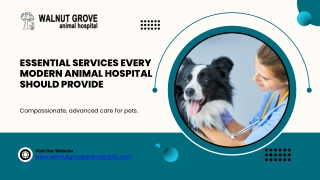 Tips for Selecting a Trusted Healthcare Provider for Your Companion Animals