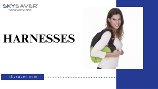 Harnesses (1)