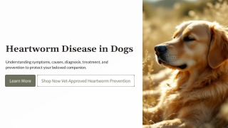 Heartworm Disease in Dogs: Symptoms, Causes, Treatment