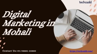Best Digital Marketing Course in Mohali | SEO, Google Ads Training - techcadd