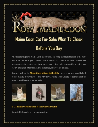 Maine Coon Cat For Sale What To Check Before You Buy