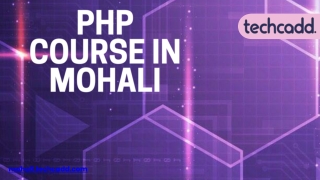 Best PHP Course in Mohali | Laravel, MySQL Web Development - techcadd