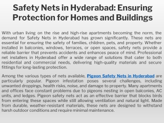 Safety Nets in Hyderabad Ensuring Protection for Homes and Buildings