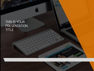 Digital Ravina Negi – Digital Expert