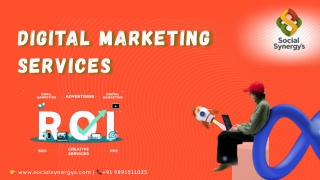 Expert Digital Marketing Solutions socialsynergys