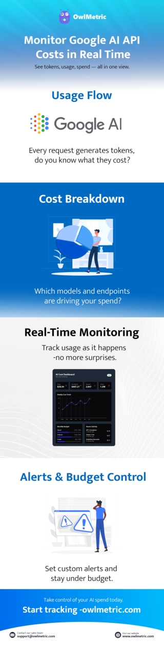 Infographic :- Monitor Google AI API Costs in Real Time