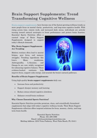 Brain Support Supplements