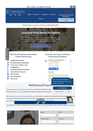 Northeast Mold removal