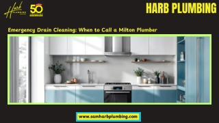 Emergency Drain Cleaning When to Call a Milton Plumber