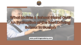 What Makes a School Stand Out An Evaluation of the Best Driving School in Guelph