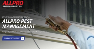 Get Dehumidification Services in Island of Palms, SC