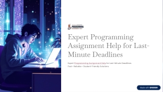 Programming assignment help